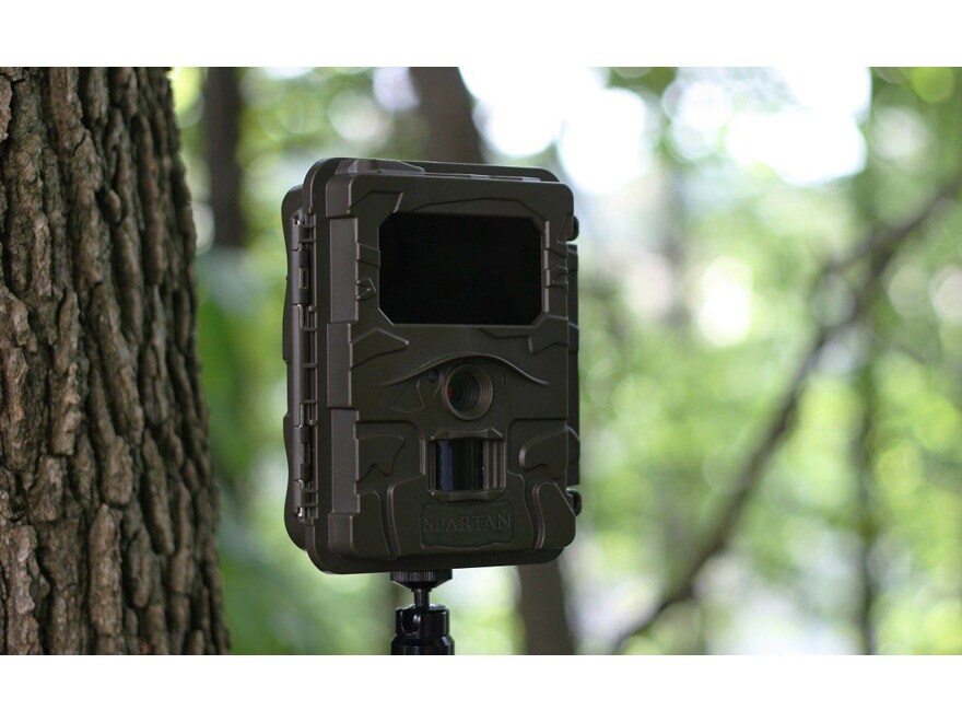 blackout deer camera