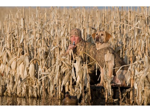 Avery Ruff Dog Marsh Stand