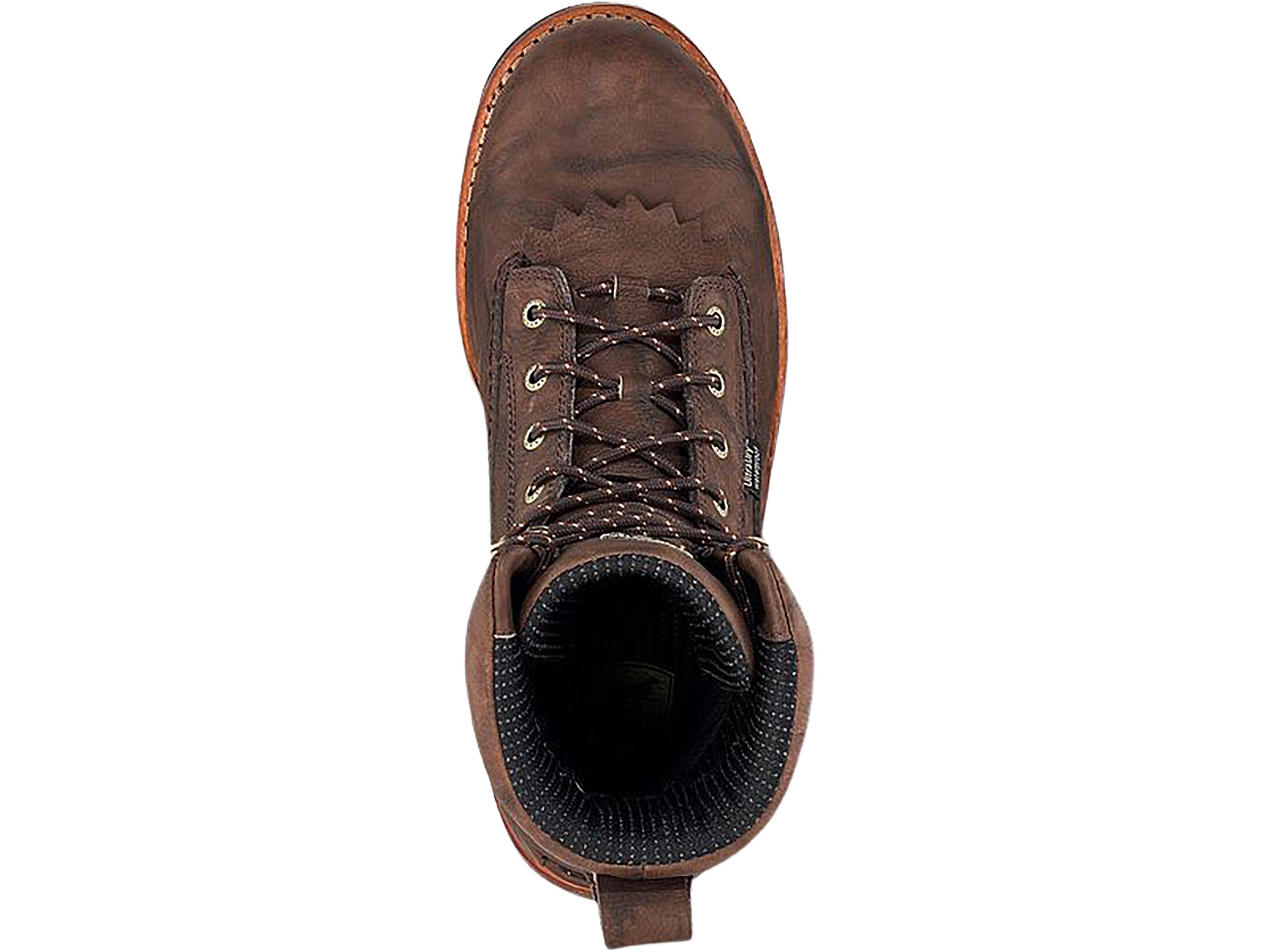 Irish setter elk hunting on sale boots