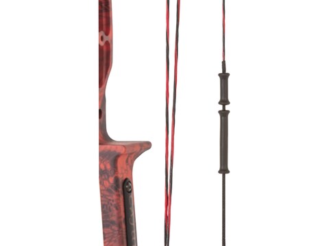 Cajun Archery Sucker Punch 50# Bow Fishing Compound Left Hand