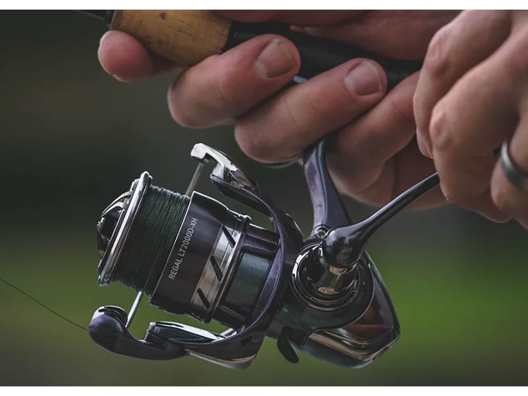Daiwa Regal LT 4000D-CXH-B Spinning Reel Daiwa Regal LT 4000D-CXH-B Spinning Reel