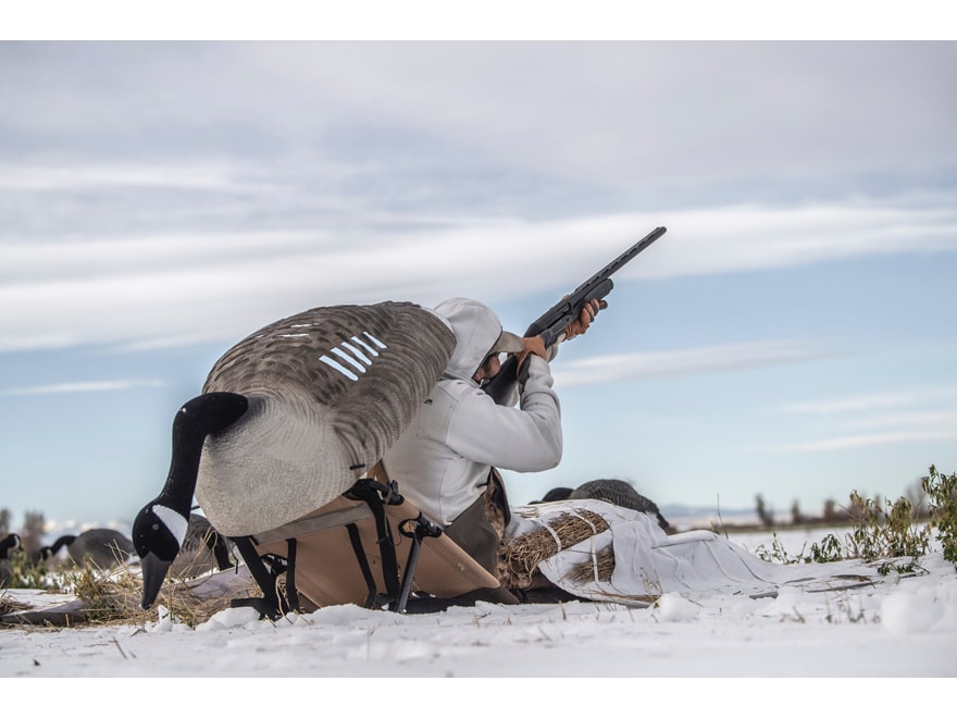 Goose outlet chair blind