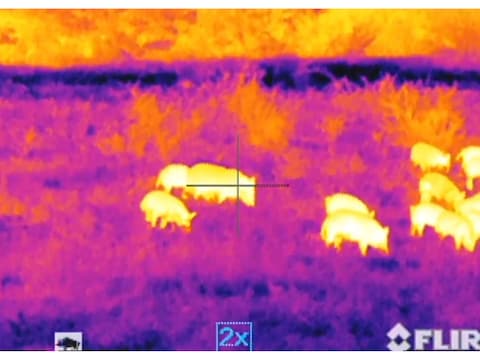 Temp Gun by Thermal Predator-Infrared IR Thermometer for Grilling