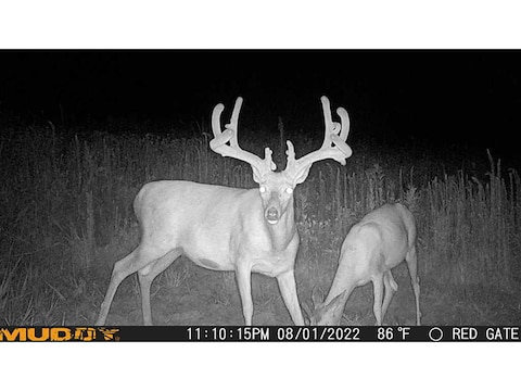 Muddy Outdoors Matrix Cellular Trail Camera 36 MP