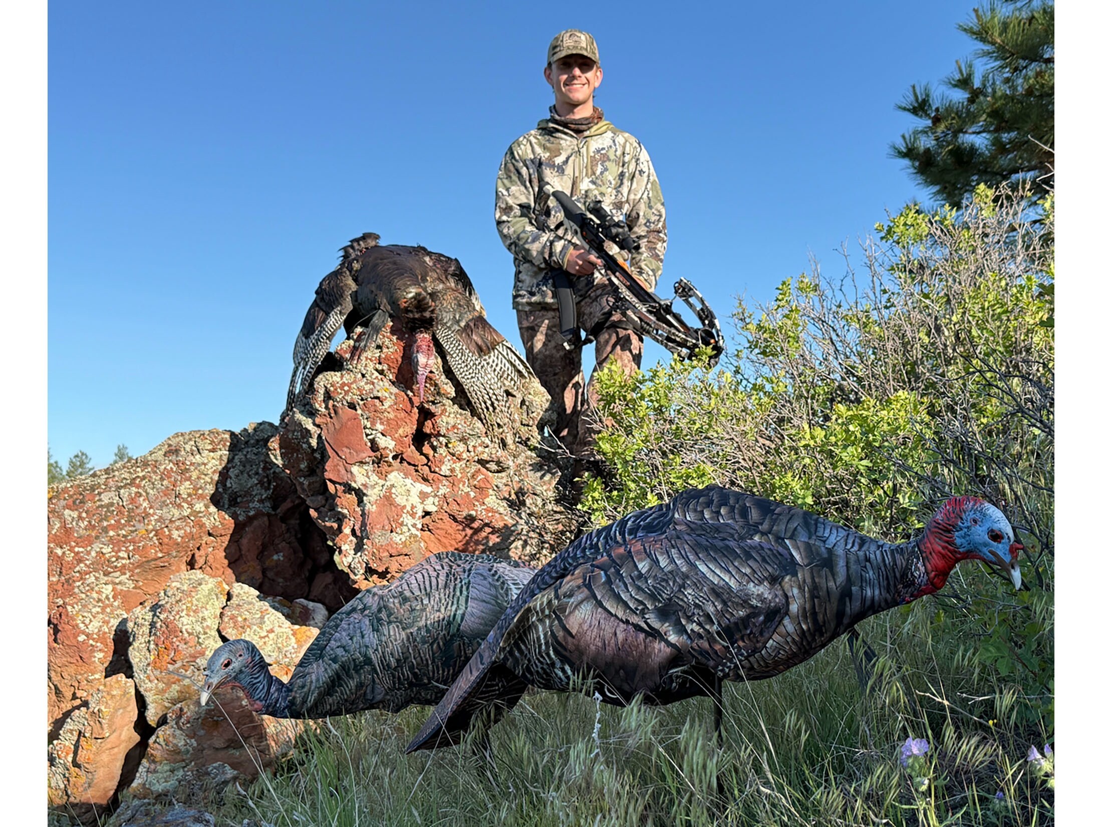 Montana Decoy Miss Purr-Fect XD3 Hen Turkey Decoy