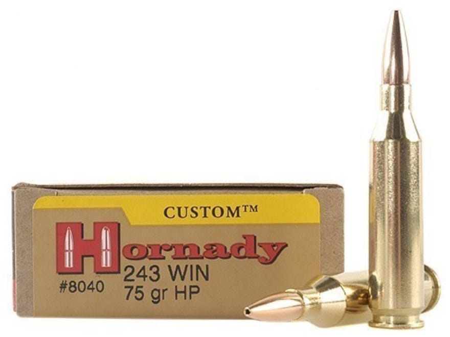 Hornady Custom Ammo 243 Winchester 75 Grain Hollow Point Box of 20