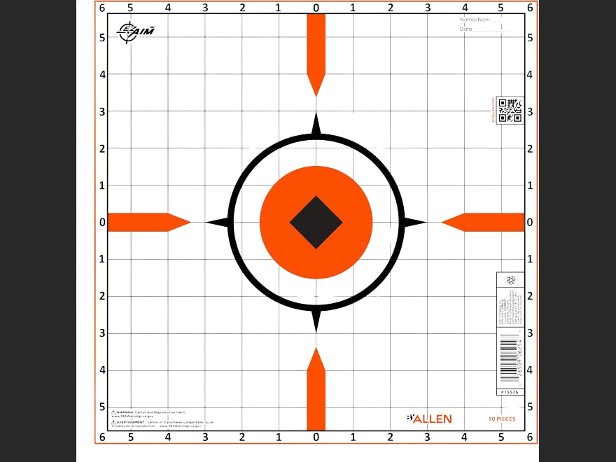 Allen EZ-Aim Rigid Paper Targets Sight 12 10PK