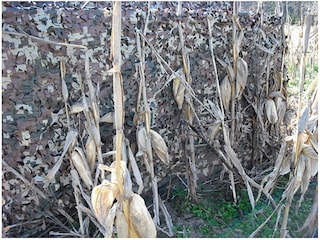 Avery RealGrass Blind Material Brown Timber Grass