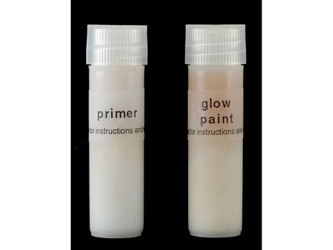 20/20 Concepts Phosphorescent Sight Paint Kit