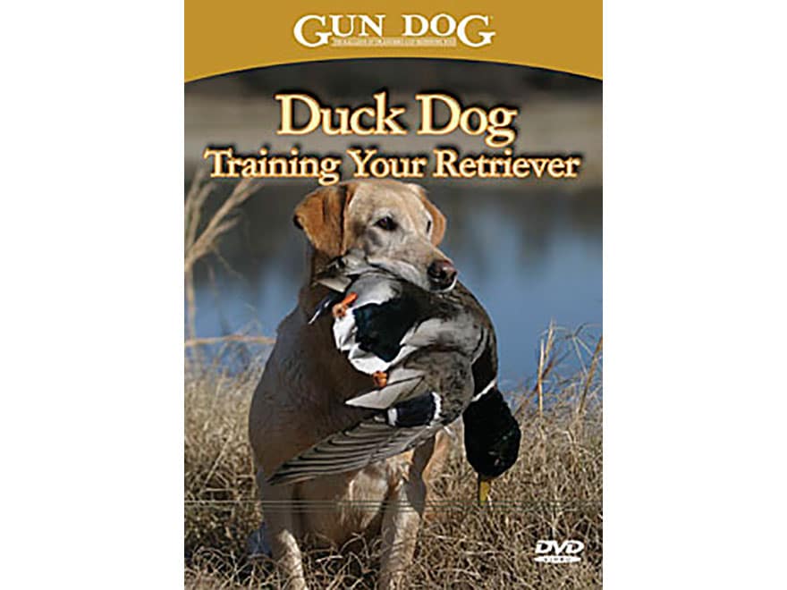 Duck Dog Training Your Retriever DVD