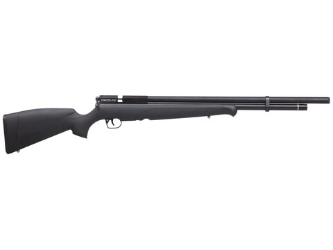 Benjamin Fortitude PCP Air Rifle
