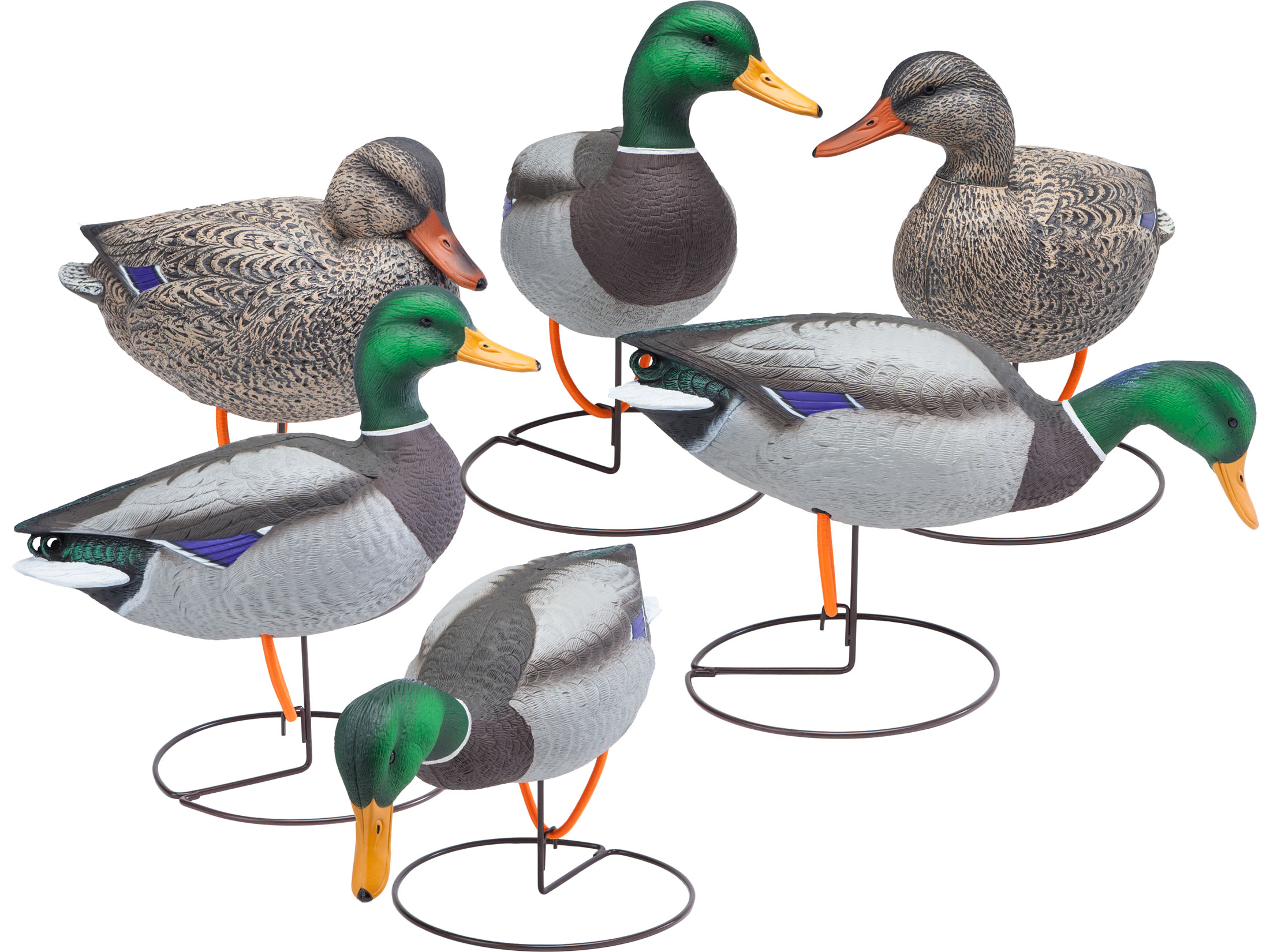 Final Approach Gunner HD Field Full Body Mallard Duck Decoy 6PK