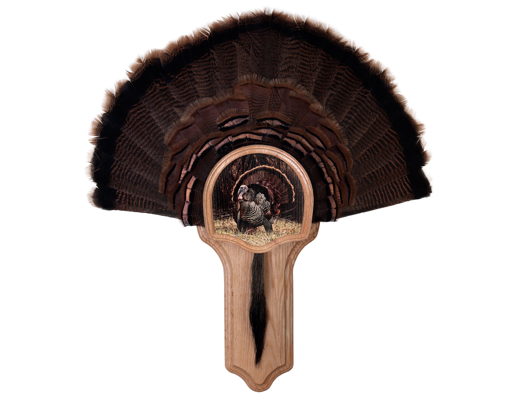 Walnut Hollow Country Deluxe Turkey Mounting Kit Oak Strutter