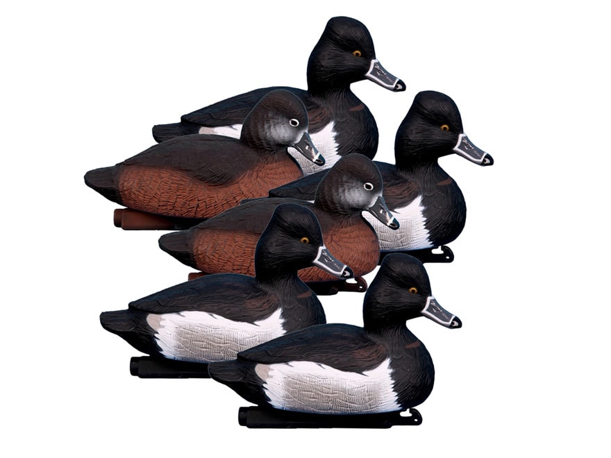 Higdon Standard Ringneck Duck Decoy Polymer 6PK