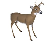 Deer Decoys in Hunting Gear