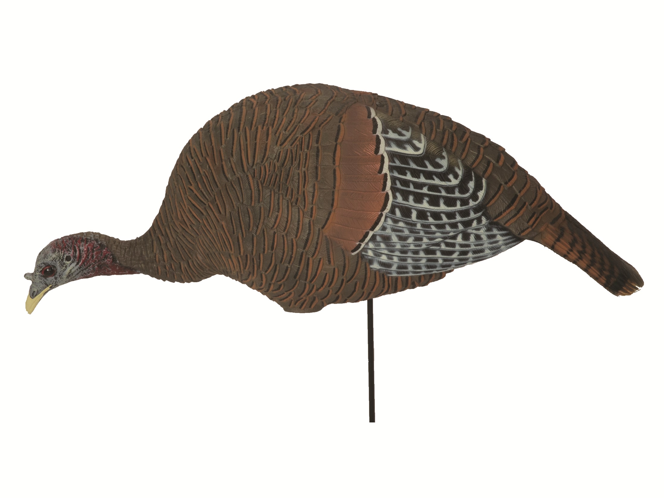 GHG Feeding Hen Eastern Turkey Decoy