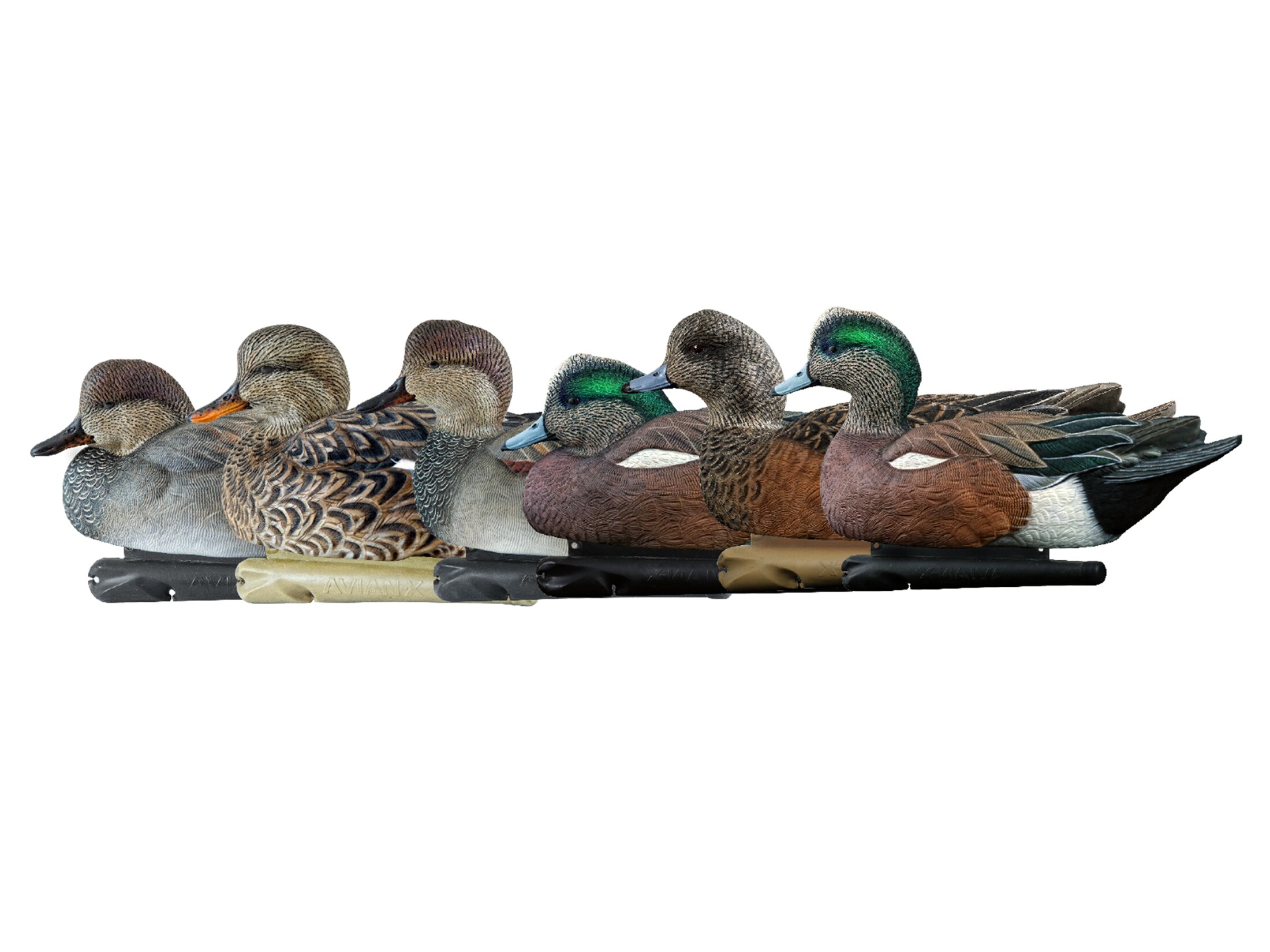 Avian x central flyway combo pack duck decoy 6pk