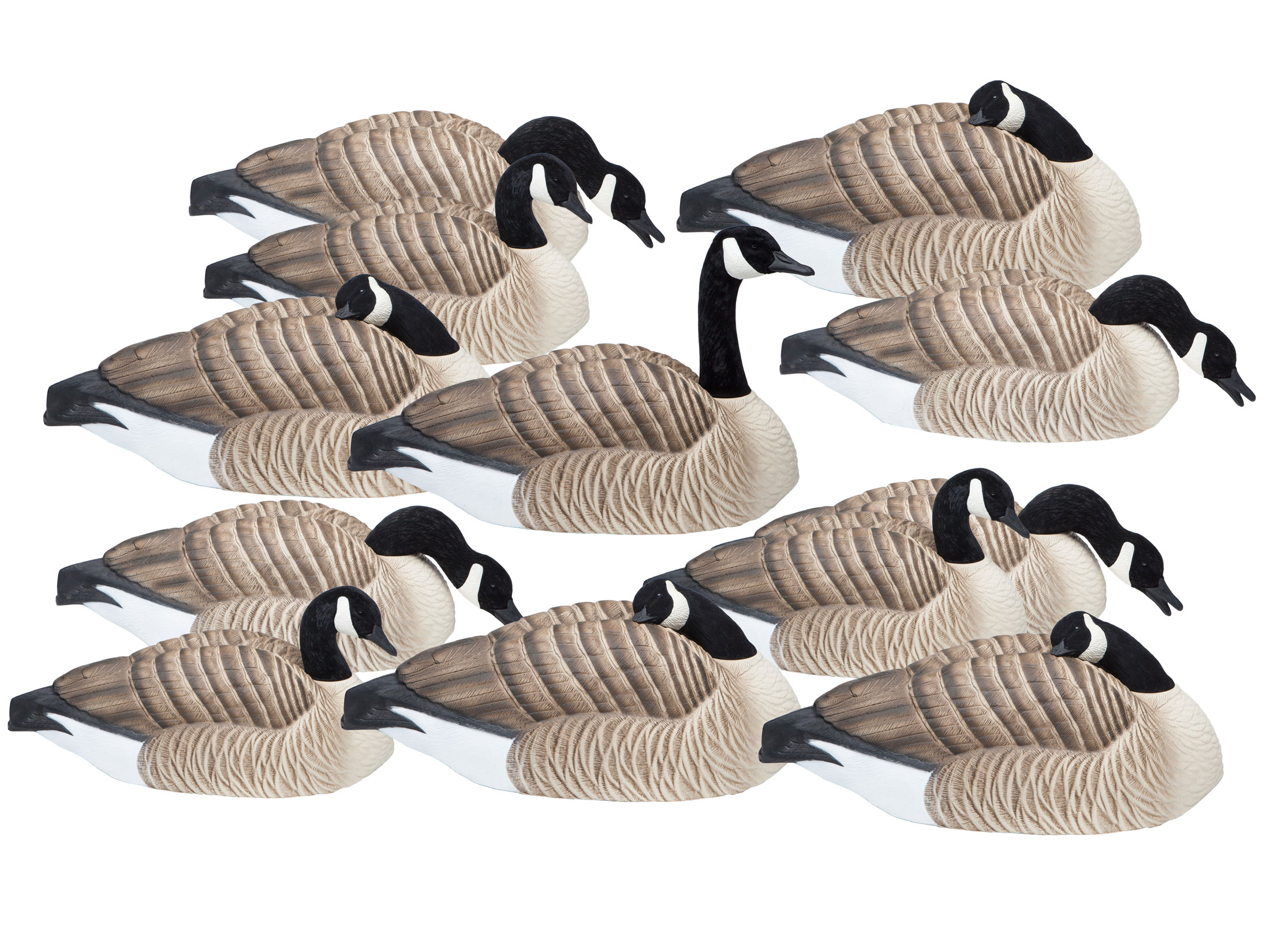 Final Approach Last Pass HD Honker Shell Canada Goose Decoy Pack of 12
