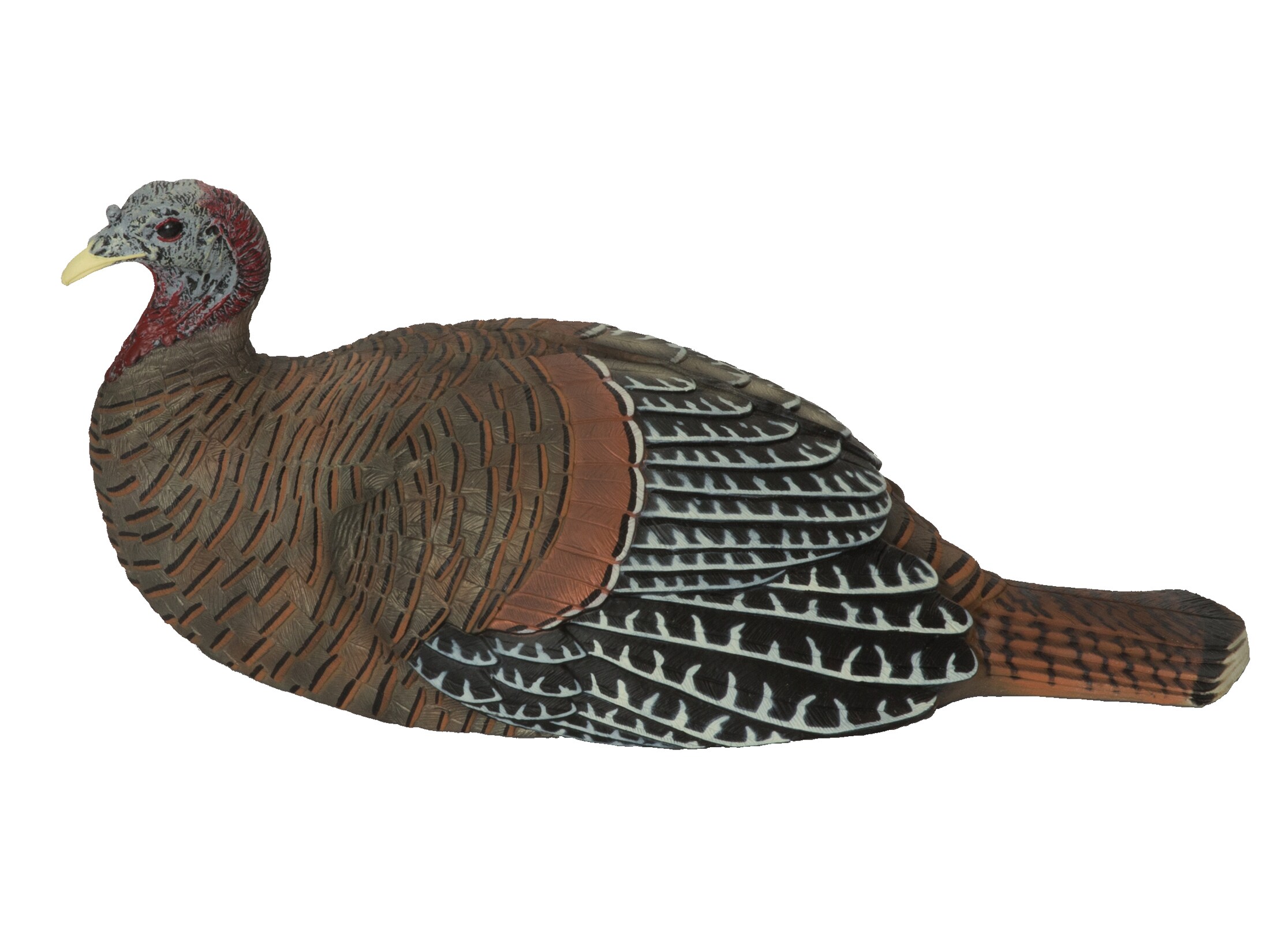 GHG Laydown Hen Eastern Turkey Decoy