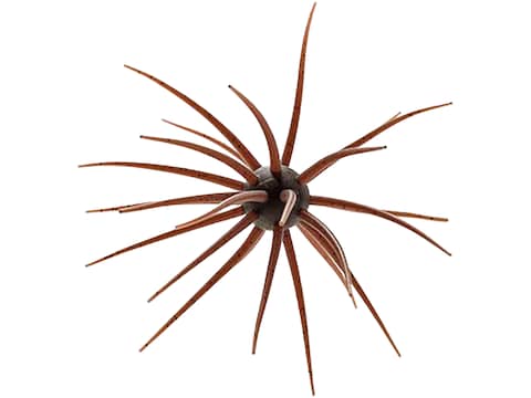 Fishing Lures in Fishing