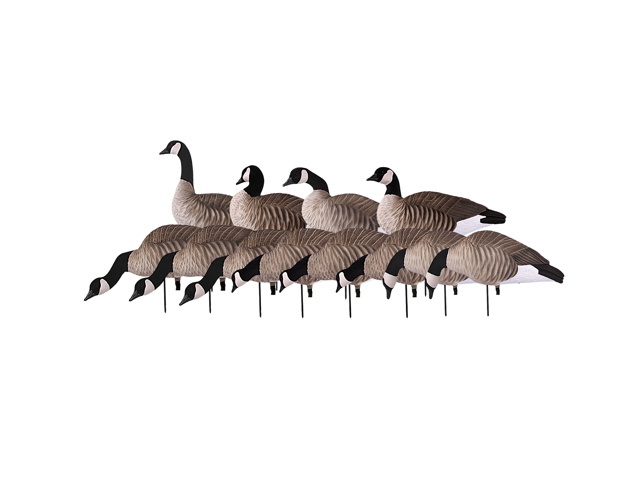 GHG FFD ProGrade Lesser Harvester Full Body Goose Decoy Pack of 12