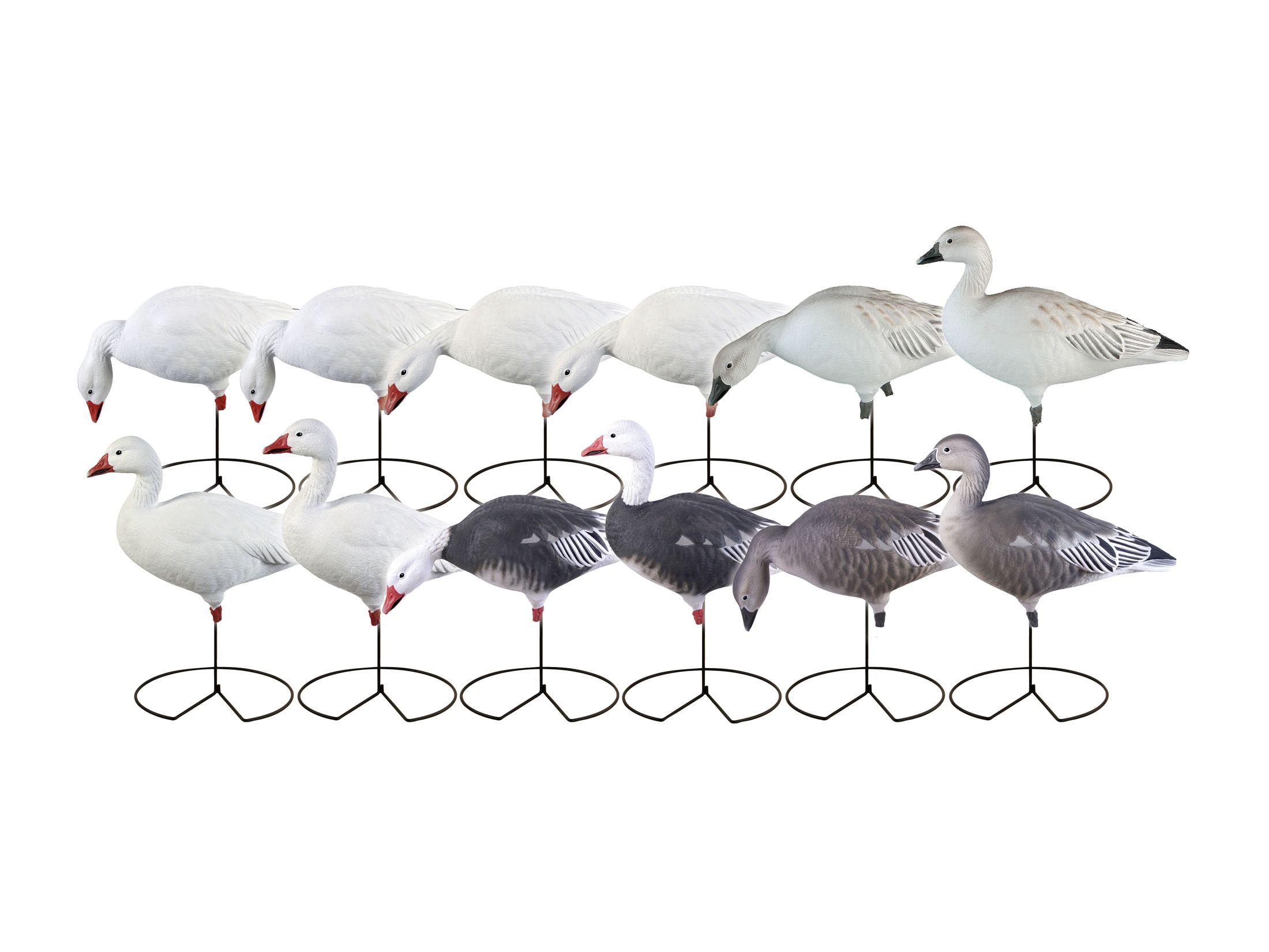 GHG ProGrade Harvester Full Body Snow Blue Goose Decoy Pack of 12