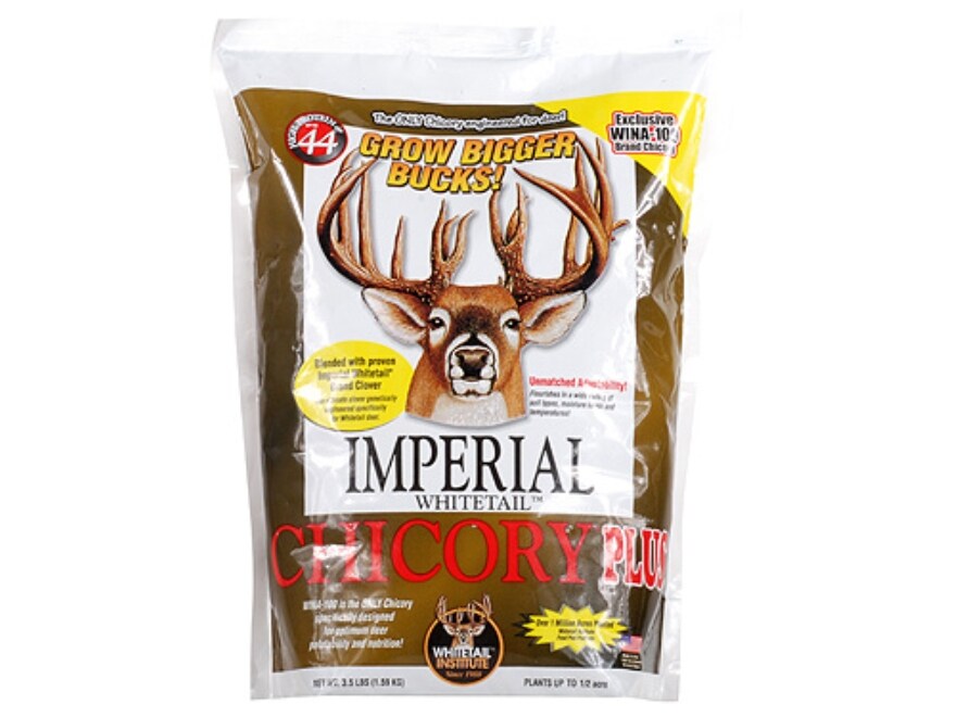 Whitetail Institute Chicory Plus Perennial Food Plot Seed 3.5 lb