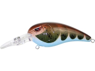 SPRO RkCrawler 50 – Lures and Lead