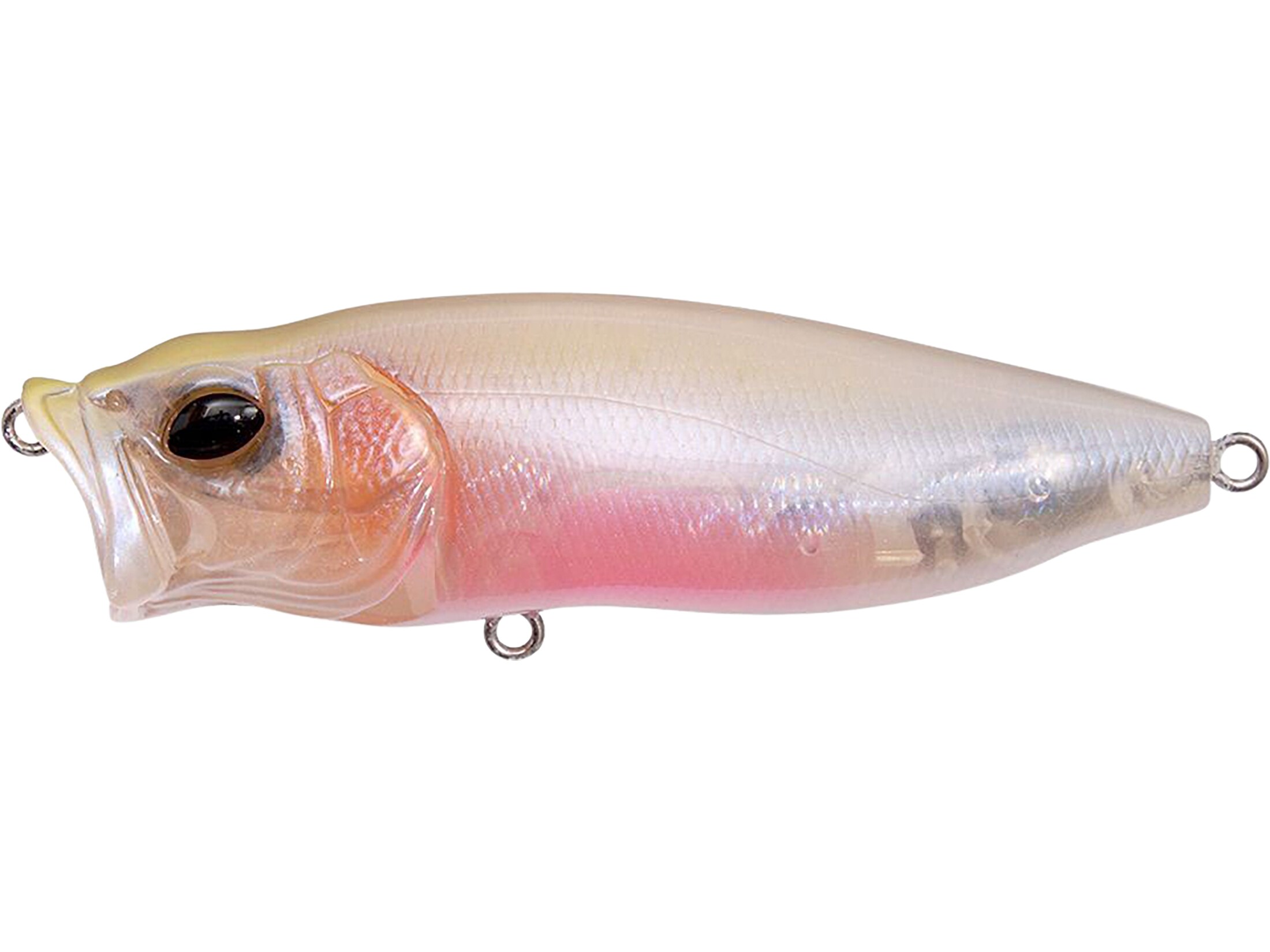 メガバス POPMAX 『WHITE BUTTERFLY』（SP-C） Megabass Popmax Topwater White Butterfly
