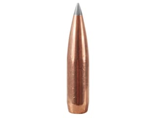 Factory Second Bullets 284 Cal 7mm (284 Diameter) 175 Grain Round Nose