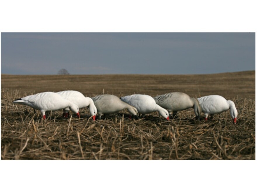 gooseページ il_1080xN.3324968064_ssdf.jpg