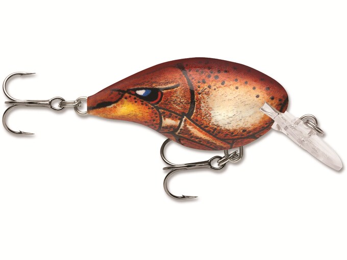 Top 5 Fishing Lures for Catching Bass - MidwayUSA