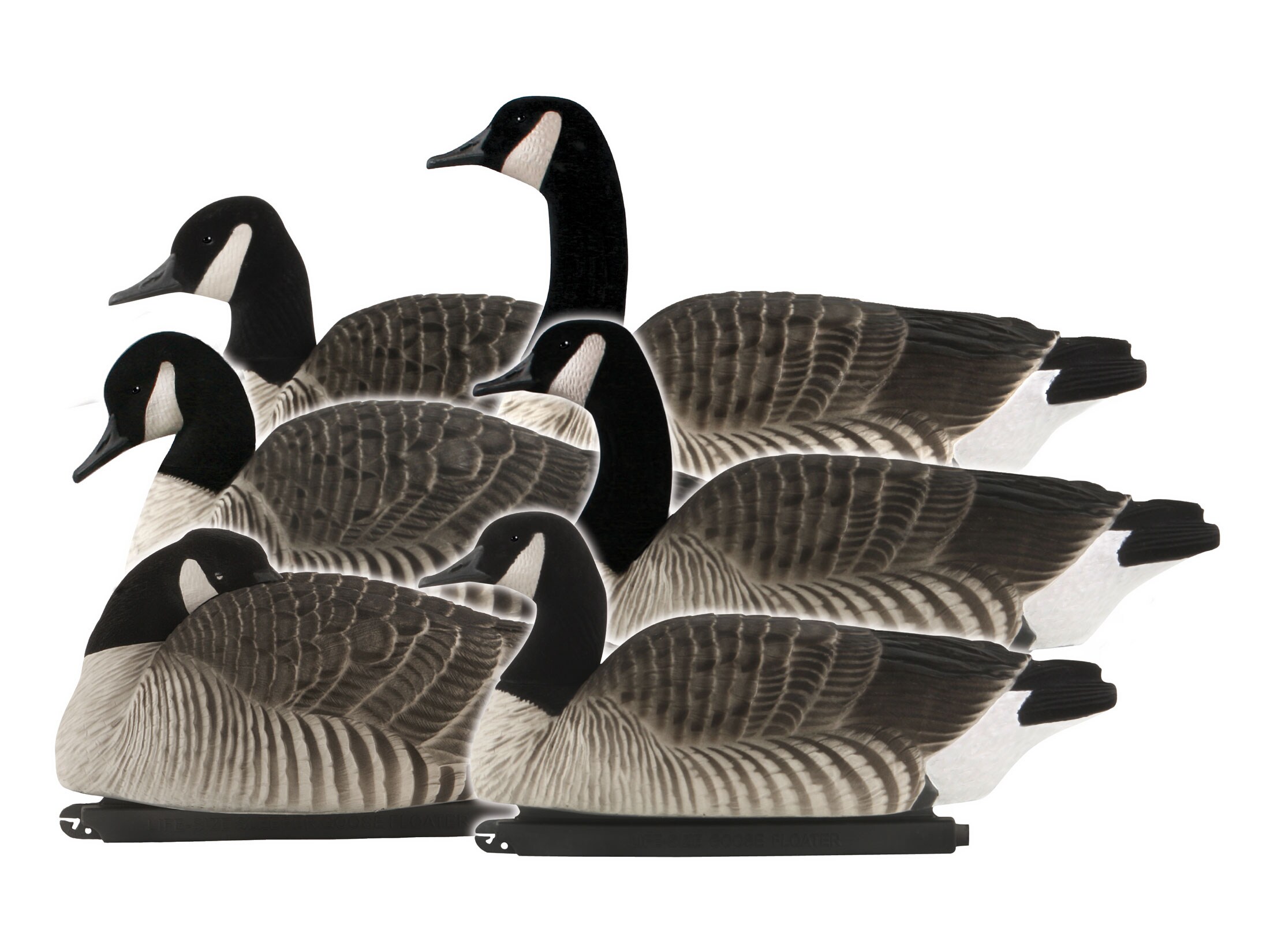 GHG FFD Elite Honker Floater Harvester Pack Canada Goose Decoy 6PK