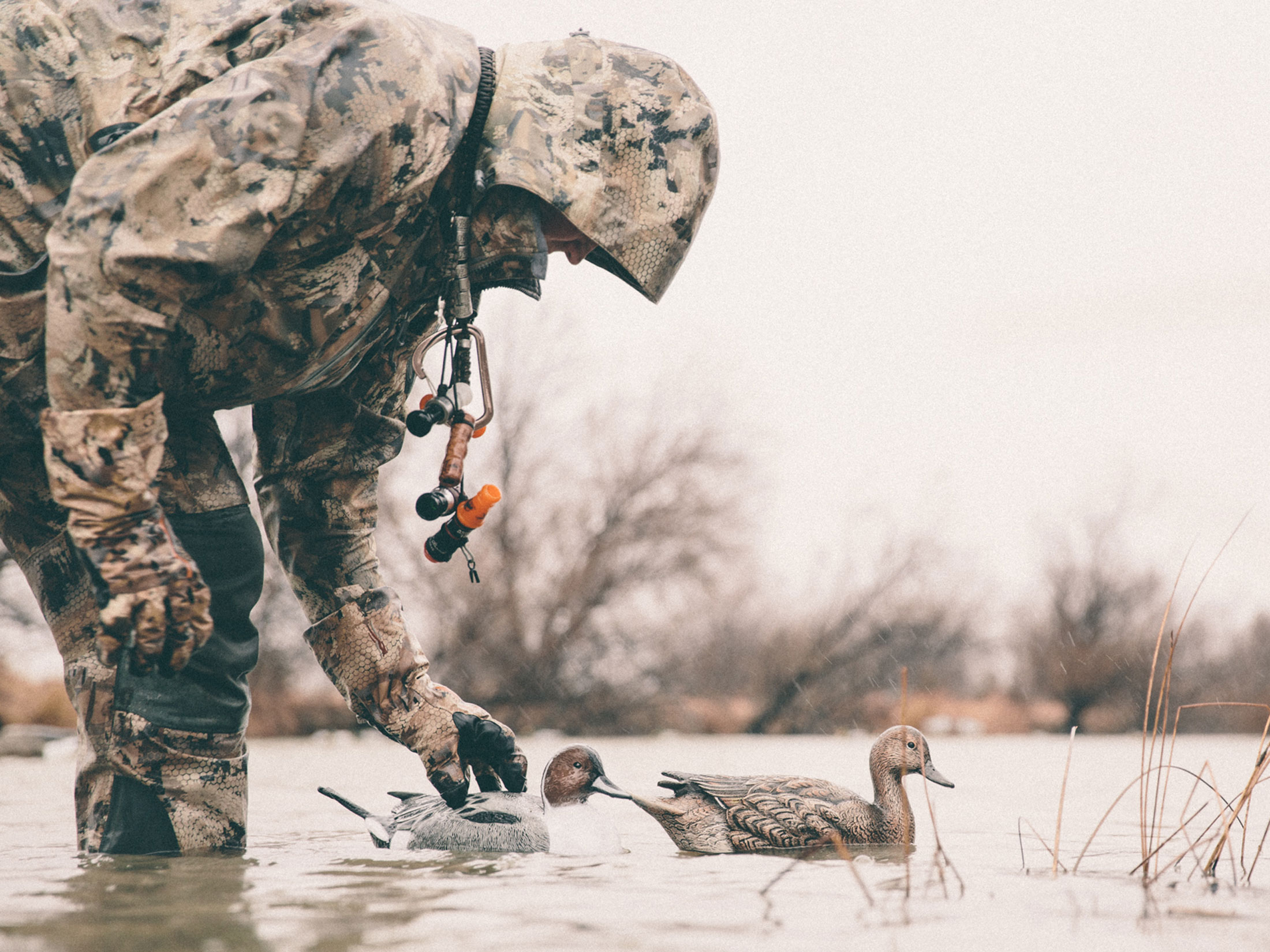 Tanglefree Pro Series Duck Decoy Weighted Keel Pintail Duck Decoy 6PK