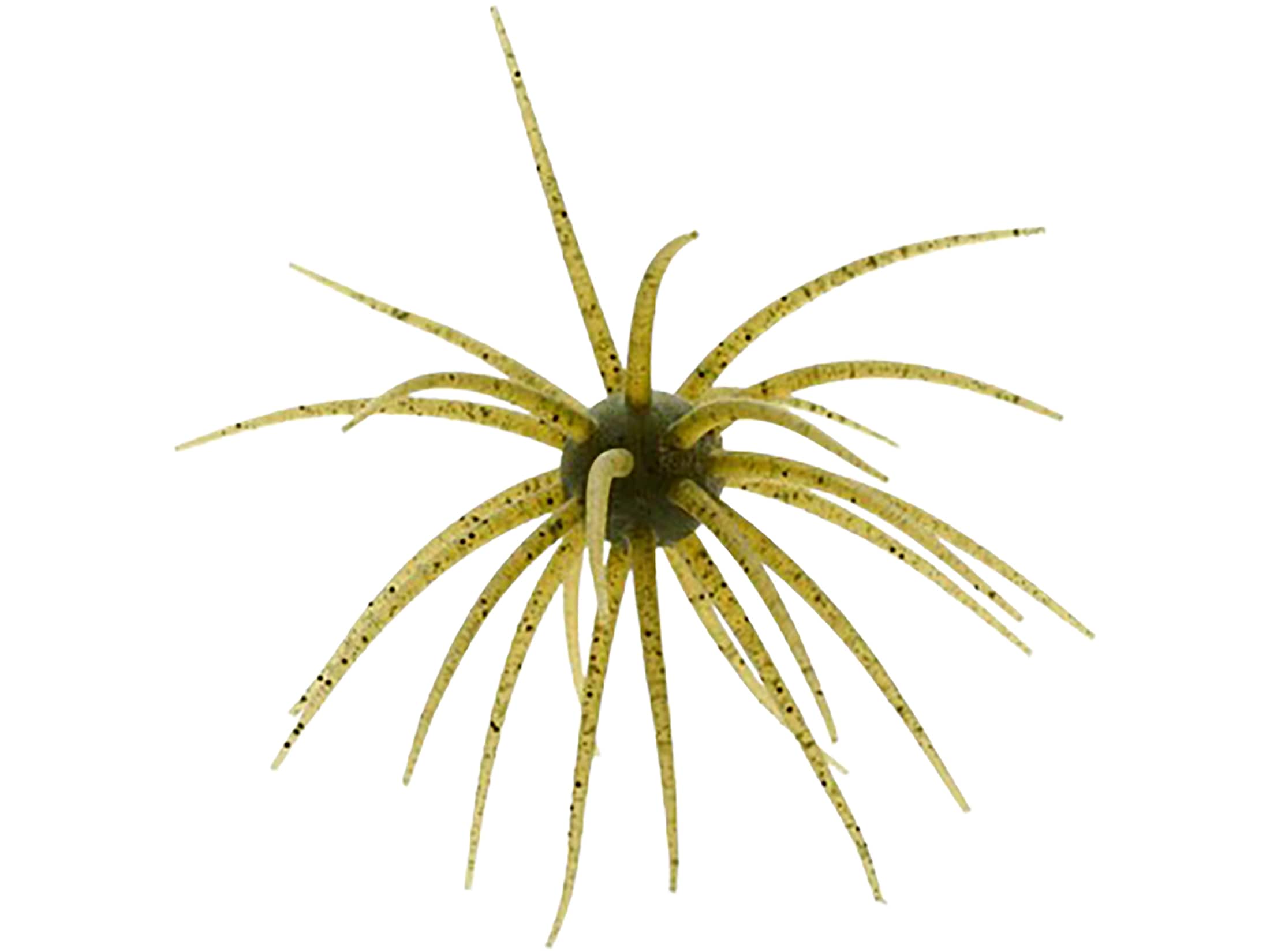 Hideup Coike 17mm Urchin Green Pumpkin Candy
