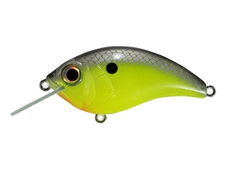 PROMOTION : Kit leurre souple SHAD - - Pêche de la carpe et