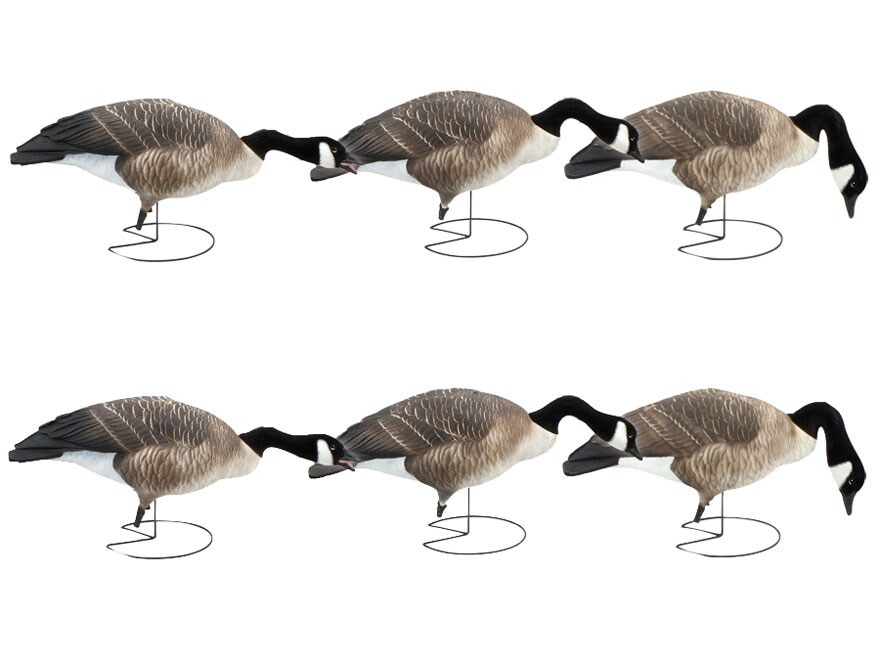 GHG Commercial Grade Feeder Full Body Honker Goose Decoy 6PK