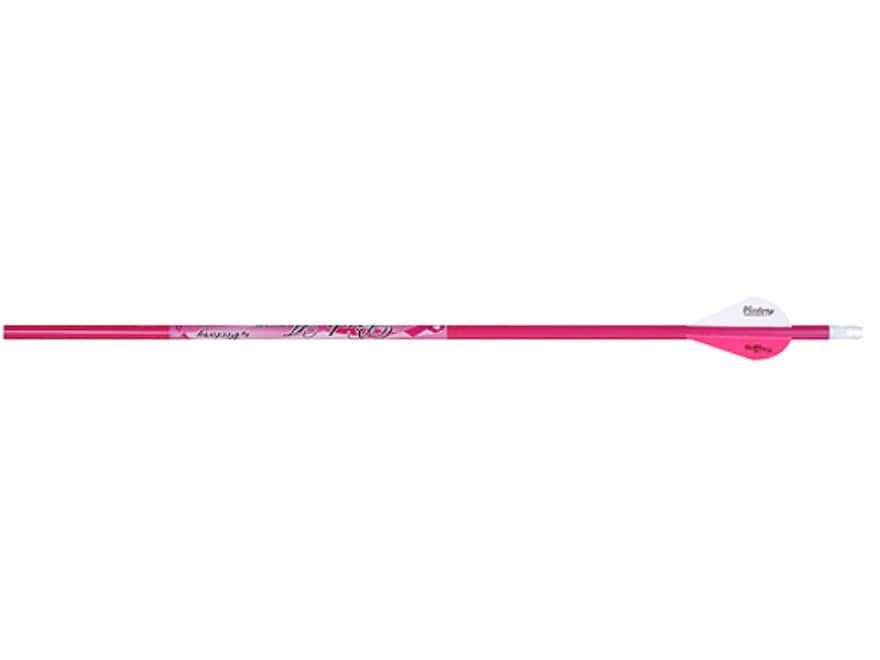 Victory Pink Arrow Project 500 Carbon Arrow 2 Blazer Vanes Pink Pack