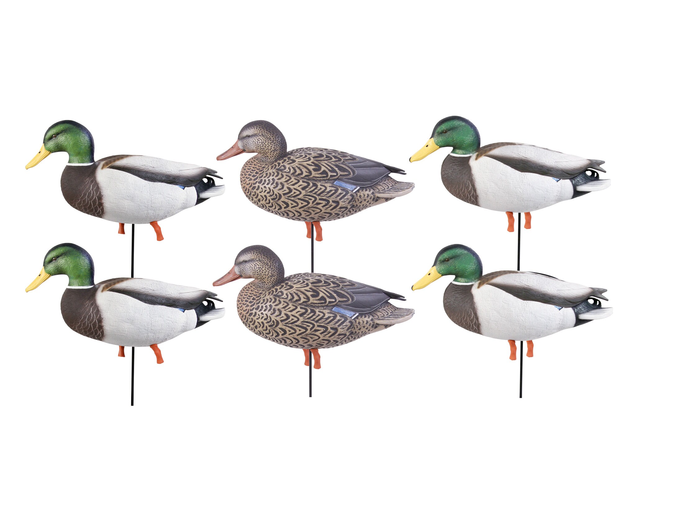 GHG ProGrade January Mallard Full Body Duck Decoys Active 6PK