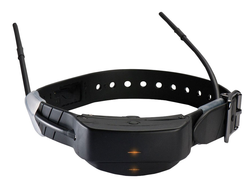 Syncing sportdog clearance collar