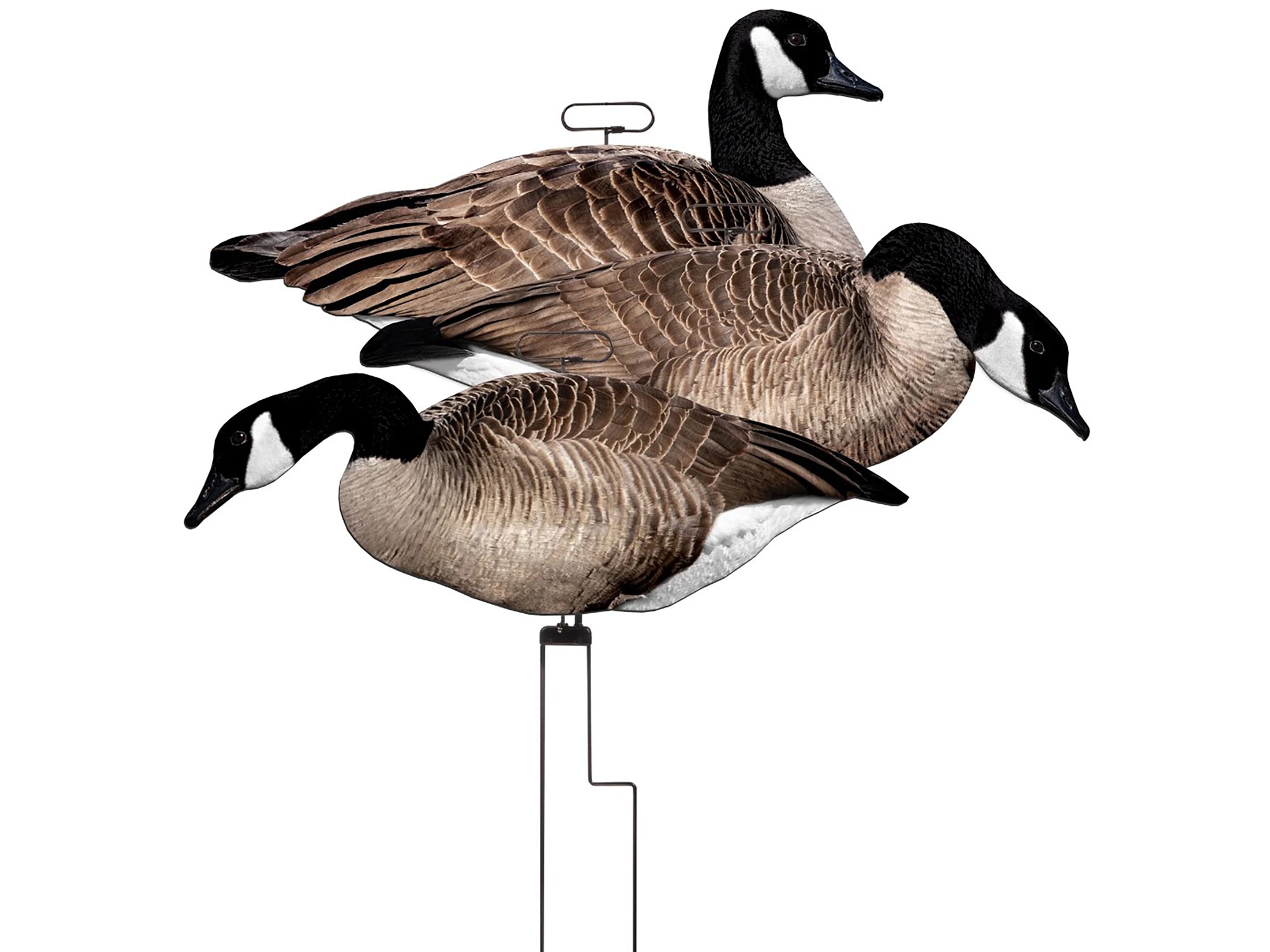 Higdon FLATS Motion Silhouette Mag Canada Goose Decoys 12PK