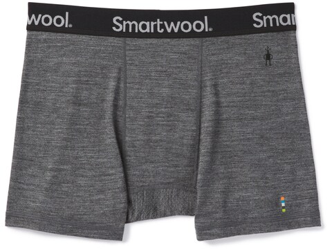 smartwool briefs
