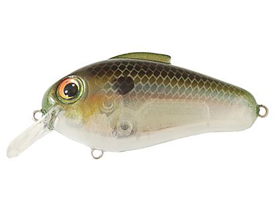 Bill Lewis Echo 1.75 Crankbait Stumpknocker