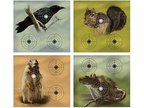 Crosman Varmint Air Gun Target Pack Crow, Squirrel, Prairie Dog or Rat Target Paper Pac...