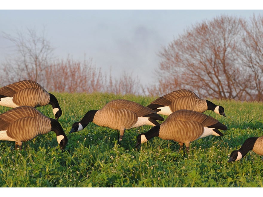 GHG Newbold Lesser Active Full Body Goose Decoy 6PK