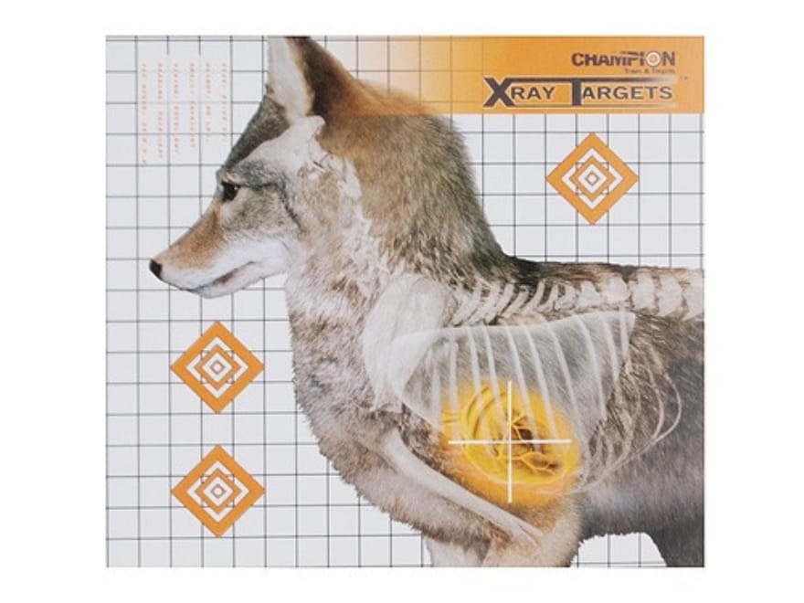 champion-xray-coyote-target-18-3-4-x-16-3-4-6pk