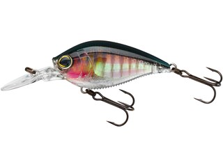 Yo Zuri Leurre flottant Duel 3DB 1.5 MR Mid Crank 60 mm R1353-RPC (2983) acheter à prix bas - livraison gratuite, avis réels avec des photos