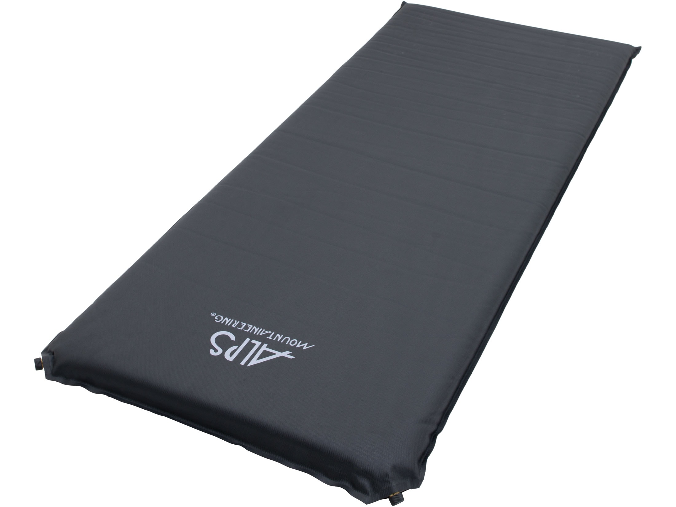 alps twin air mattress