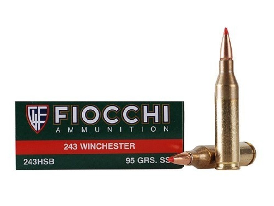 Fiocchi Extrema Ammo 243 Winchester 95 Grain Hornady SST Case of 200