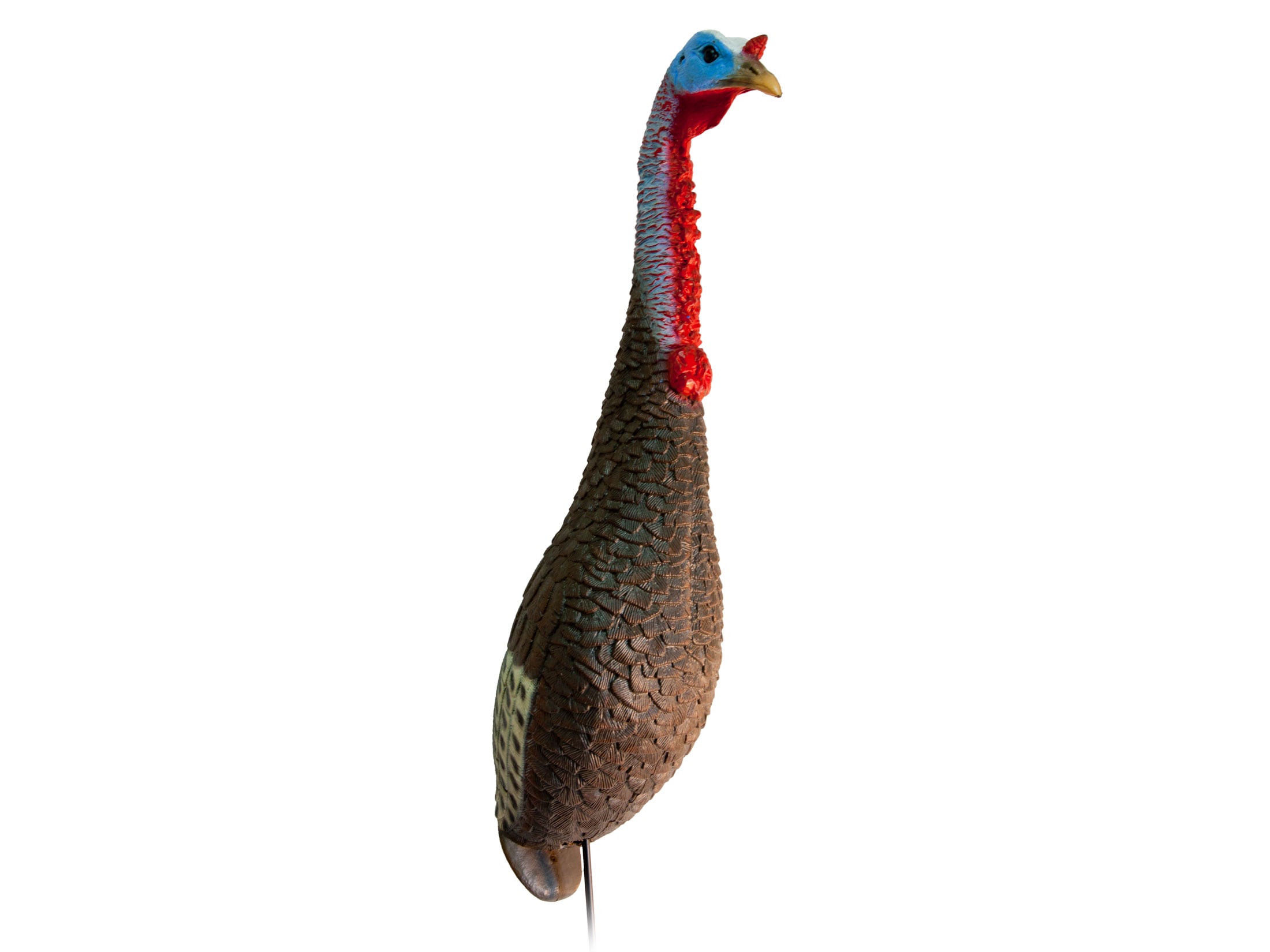 Flextone Funky Chicken Jake Turkey Decoy